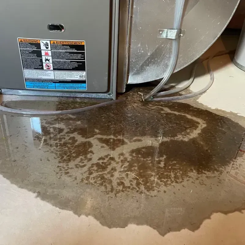 Appliance Leak Cleanup in Hancock County, IN